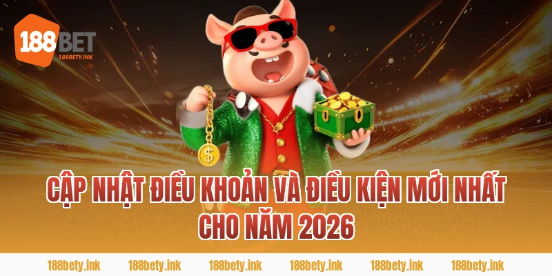 Cập Nhật ĐIỀU KHOẢN VÀ ĐIỀU KIỆN Mới Nhất Cho Năm 2026
