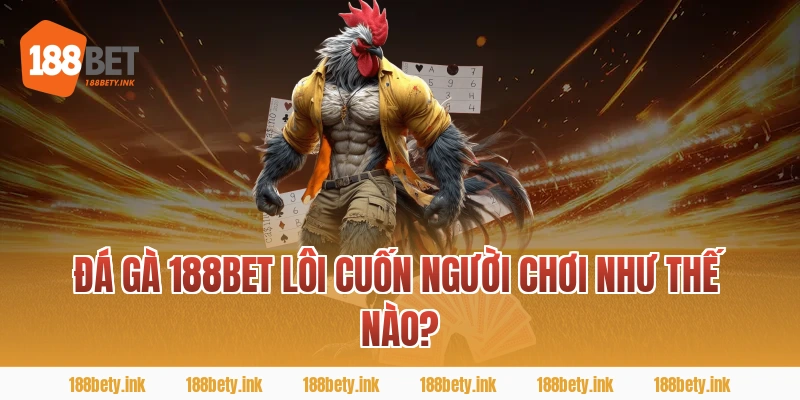 Đá gà 188Bet lôi cuốn người chơi như thế nào?