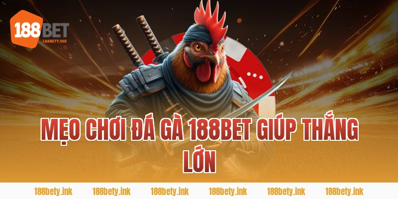 Mẹo chơi Đá gà 188Bet giúp thắng lớn